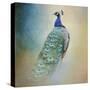 Peacock 4-Jai Johnson-Stretched Canvas