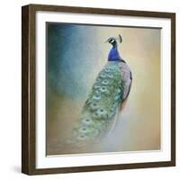 Peacock 4-Jai Johnson-Framed Giclee Print