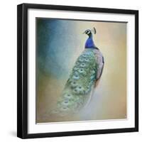 Peacock 4-Jai Johnson-Framed Giclee Print