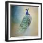 Peacock 4-Jai Johnson-Framed Giclee Print