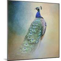 Peacock 4-Jai Johnson-Mounted Giclee Print