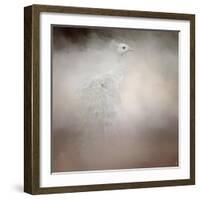 Peacock 6-Jai Johnson-Framed Giclee Print