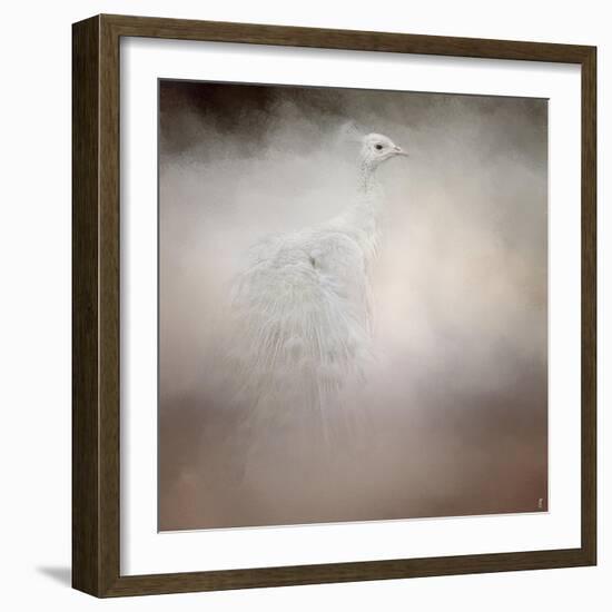 Peacock 6-Jai Johnson-Framed Giclee Print