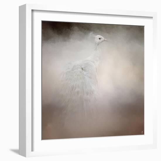 Peacock 6-Jai Johnson-Framed Giclee Print