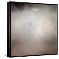 Peacock 6-Jai Johnson-Framed Stretched Canvas