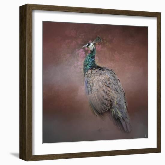 Peacock 7-Jai Johnson-Framed Giclee Print