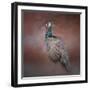 Peacock 7-Jai Johnson-Framed Giclee Print