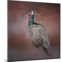 Peacock 7-Jai Johnson-Mounted Giclee Print