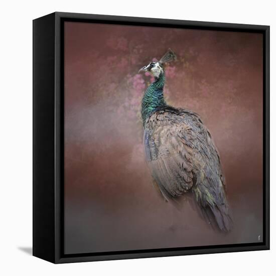 Peacock 7-Jai Johnson-Framed Stretched Canvas