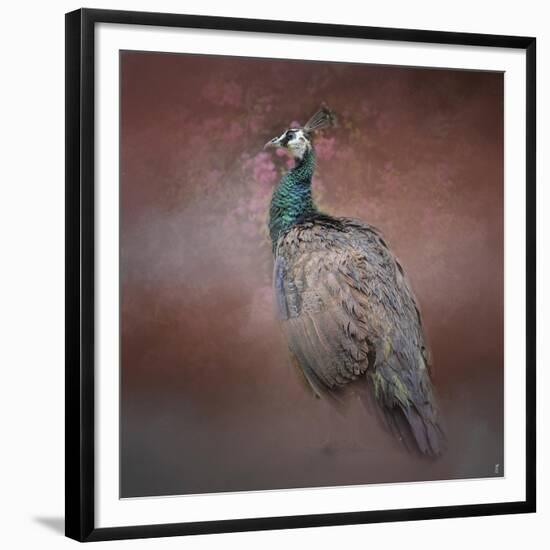 Peacock 7-Jai Johnson-Framed Giclee Print