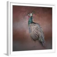 Peacock 7-Jai Johnson-Framed Giclee Print