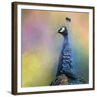 Peacock 8-Jai Johnson-Framed Giclee Print