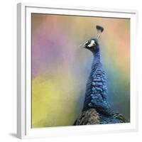 Peacock 8-Jai Johnson-Framed Giclee Print