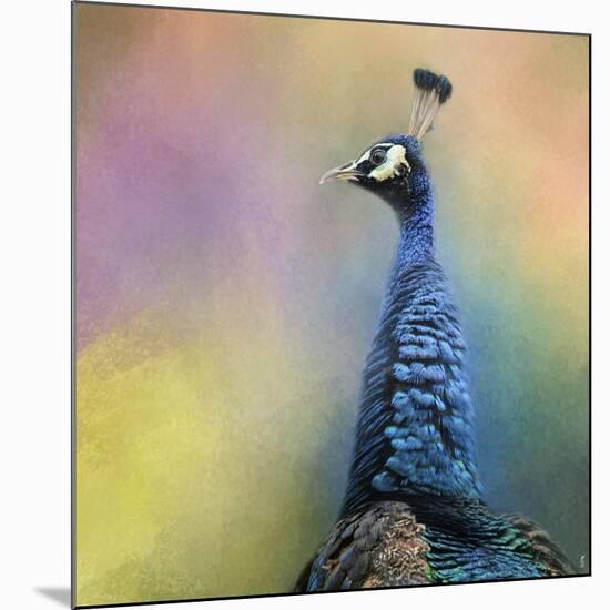 Peacock 8-Jai Johnson-Mounted Giclee Print