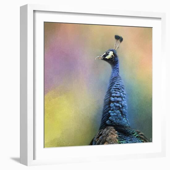 Peacock 8-Jai Johnson-Framed Giclee Print