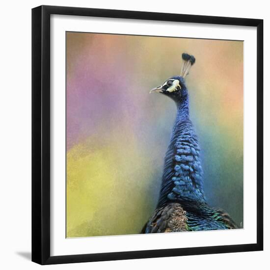 Peacock 8-Jai Johnson-Framed Giclee Print