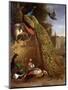 Peacock and a Peahen on a Plinth, with Ducks and Other Birds in a Park-Melchior de Hondecoeter-Mounted Giclee Print