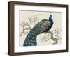 Peacock and Blossoms I-Tim O'toole-Framed Art Print