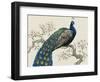 Peacock and Blossoms I-Tim O'toole-Framed Art Print