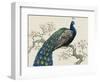 Peacock and Blossoms I-Tim O'toole-Framed Art Print