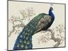 Peacock and Blossoms I-Tim O'toole-Mounted Art Print