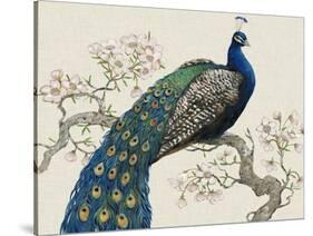 Peacock and Blossoms I-Tim O'toole-Stretched Canvas