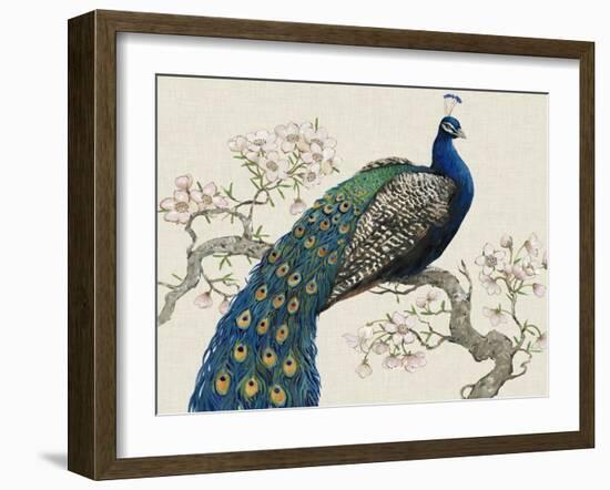 Peacock and Blossoms I-Tim O'toole-Framed Art Print