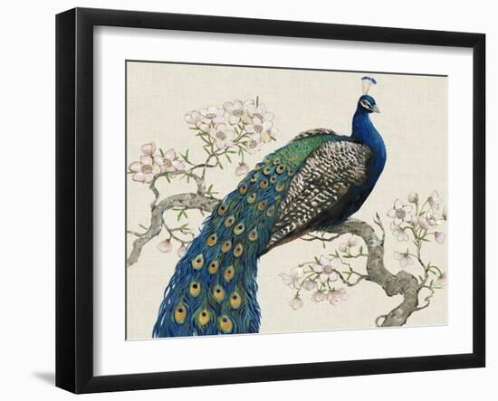 Peacock and Blossoms I-Tim O'toole-Framed Art Print