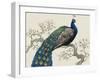 Peacock and Blossoms I-Tim O'toole-Framed Art Print