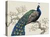 Peacock and Blossoms I-Tim O'toole-Stretched Canvas