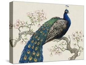 Peacock and Blossoms I-Tim O'toole-Stretched Canvas