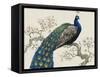 Peacock and Blossoms I-Tim O'toole-Framed Stretched Canvas