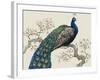 Peacock and Blossoms I-Tim O'toole-Framed Art Print