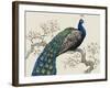 Peacock and Blossoms I-Tim O'toole-Framed Art Print