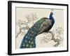 Peacock and Blossoms I-Tim O'toole-Framed Art Print