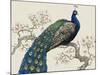 Peacock and Blossoms I-Tim O'toole-Mounted Art Print