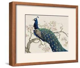 Peacock and Blossoms II-Tim O'toole-Framed Photographic Print