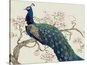 Peacock and Blossoms II-Tim O'toole-Stretched Canvas