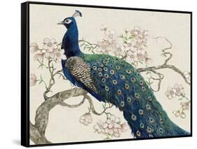 Peacock and Blossoms II-Tim O'toole-Framed Stretched Canvas