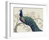 Peacock and Blossoms II-Tim O'toole-Framed Art Print