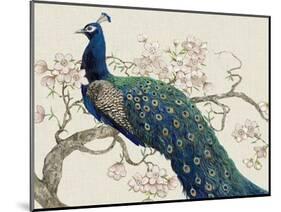 Peacock and Blossoms II-Tim O'toole-Mounted Art Print