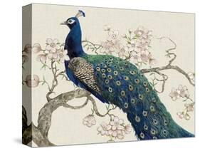 Peacock and Blossoms II-Tim O'toole-Stretched Canvas