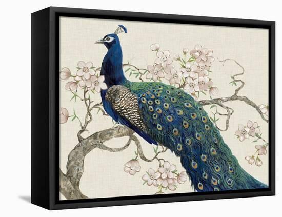 Peacock and Blossoms II-Tim O'toole-Framed Stretched Canvas
