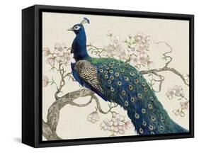 Peacock and Blossoms II-Tim O'toole-Framed Stretched Canvas