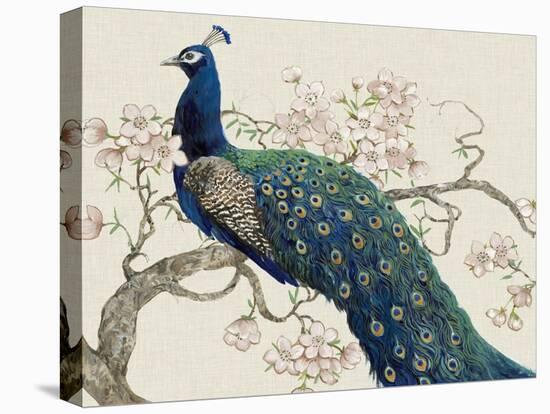 Peacock and Blossoms II-Tim O'toole-Stretched Canvas