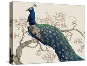 Peacock and Blossoms II-Tim O'toole-Stretched Canvas