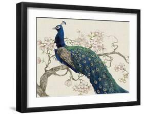 Peacock and Blossoms II-Tim O'toole-Framed Art Print