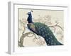 Peacock and Blossoms II-Tim O'toole-Framed Art Print