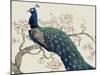 Peacock and Blossoms II-Tim O'toole-Mounted Art Print