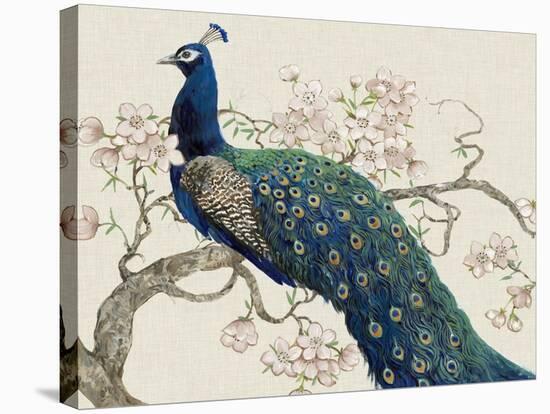 Peacock and Blossoms II-Tim O'toole-Stretched Canvas